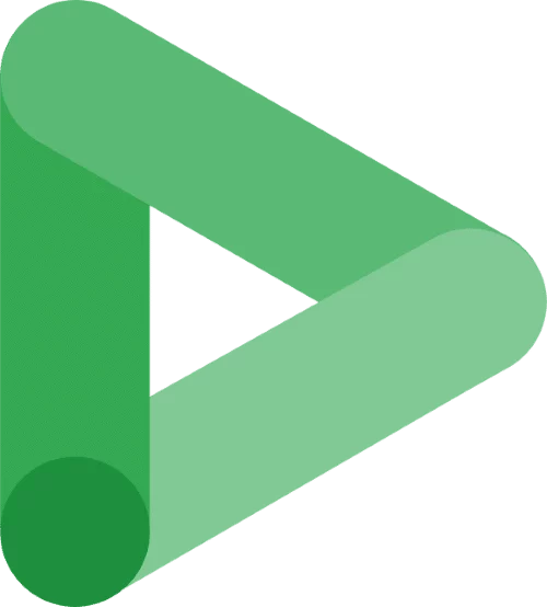 Logo Google Display and Video Ads.